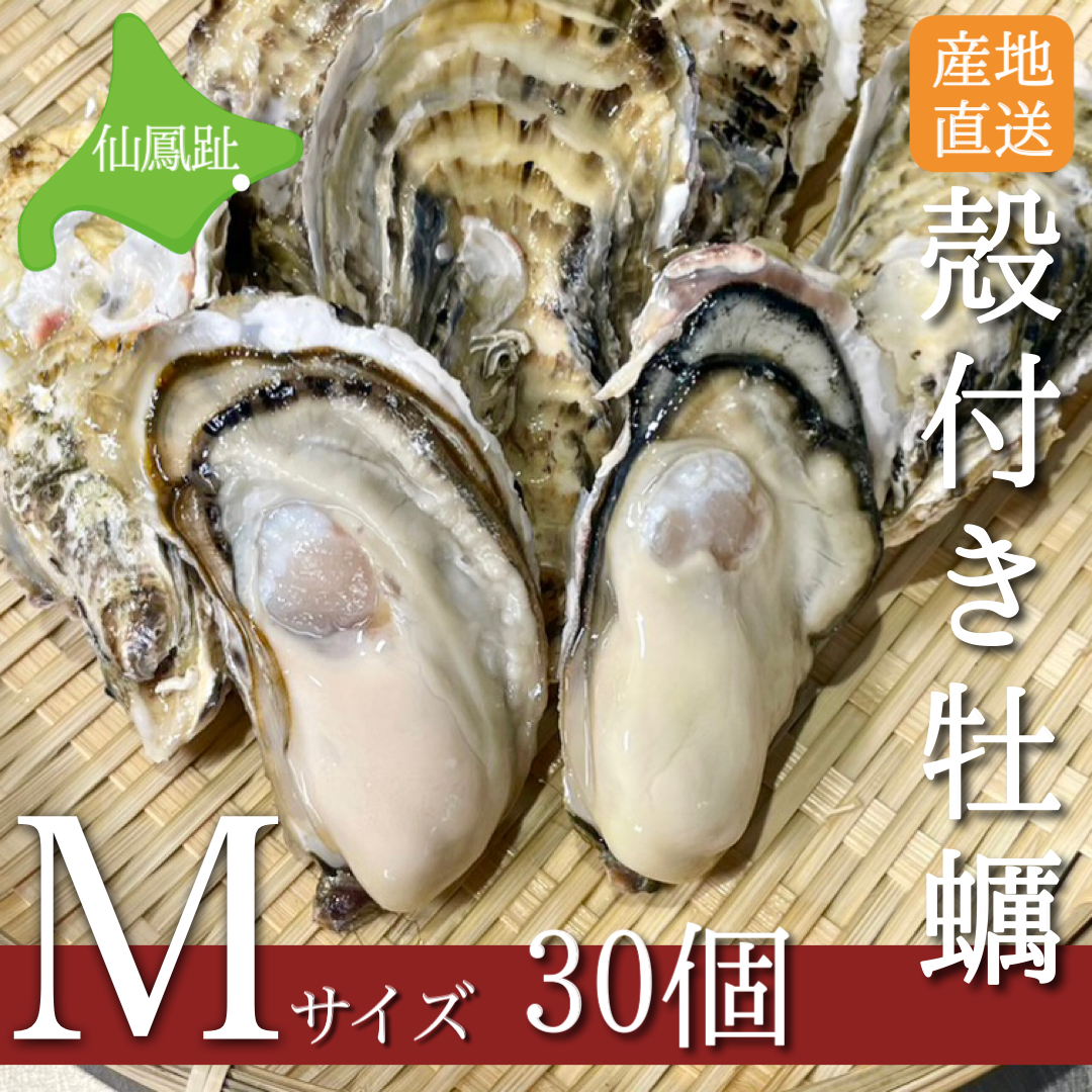 Mサイズ30個】仙鳳趾名産 殻付き生牡蠣 | きたきた